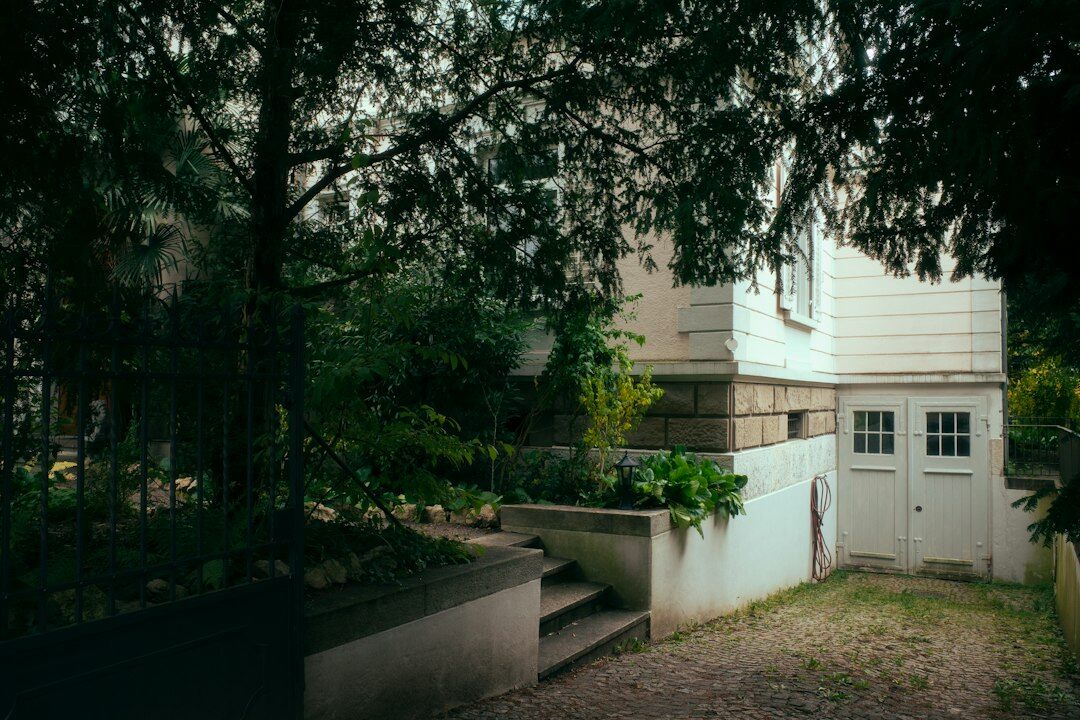 Dimly lit private garage housing a hidden collection of rare vintage automobiles