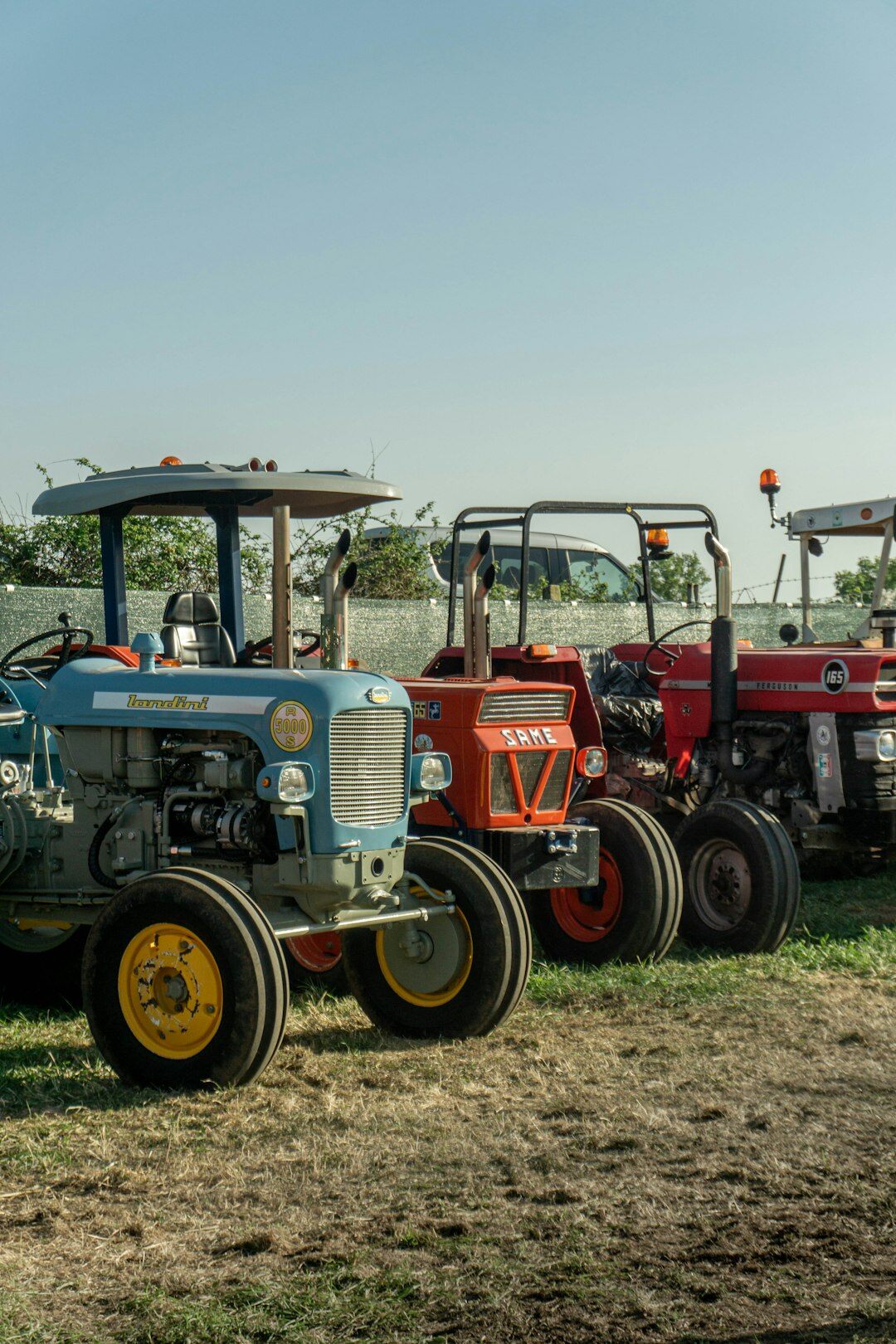 Row of classic automobiles lined up at a countryside rally in Canelones, Uruguay